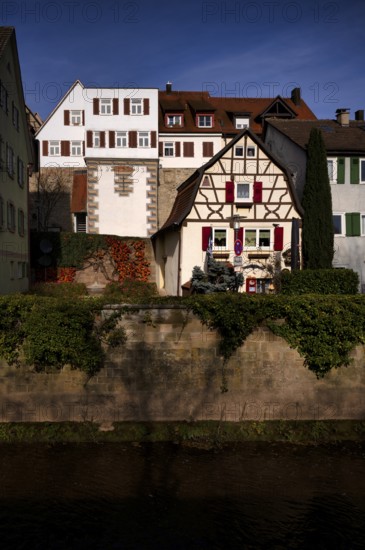 Painted tower, city wall, old town, river Metter, Bietigheim-Bissingen, Baden-Württemberg, Germany