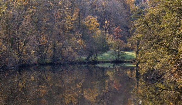 River Enz, Bietigheim-Bissingen, autumn, autumn colors, autumnal, Baden-Württemberg, Germany