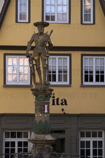 Marktbrunnen Wappner, Old Town, Bietigheim-Bissingen, Baden-Württemberg, Germany