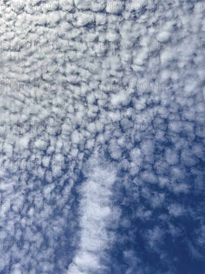 Dense cloudiness large cloud field from with white clouds Stratocumulus popularly sheep clouds against blue sky, international