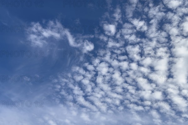 Top left white medium-height clouds Altocumulus floccus right Altocumulus stratiformis popularly sheep clouds in front of a blue sky, international