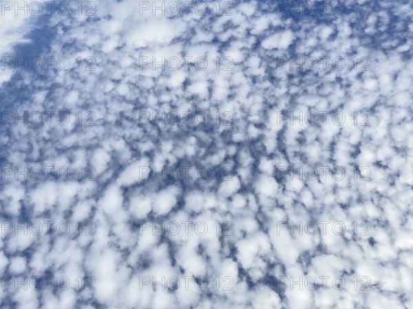 Dense cloudiness of with high white clouds Cirrocumulus Cirrocumulus clouds popularly sheep clouds attract blue sky, international