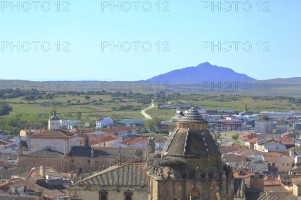 View of Torre del Alfiler tower with white stork and townscape of Trujillo, panoramic view of mountain, summit, landscape, plain, Extremadura, Spain