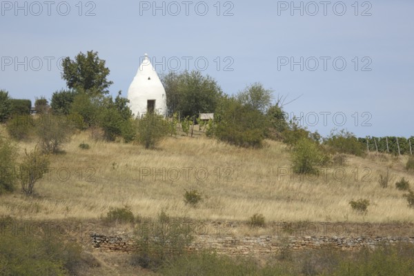 Landscape with trullo, vineyard houses, wine-growing region, wine culture, Flonheim, Rhine-Hesse region, Rhineland-Palatinate, Germany