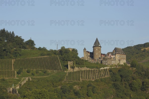 Stahleck Castle and vineyards, wine-growing region, Bacharach, Rhineland-Palatinate, UNESCO, Upper Middle Rhine Valley, Germany