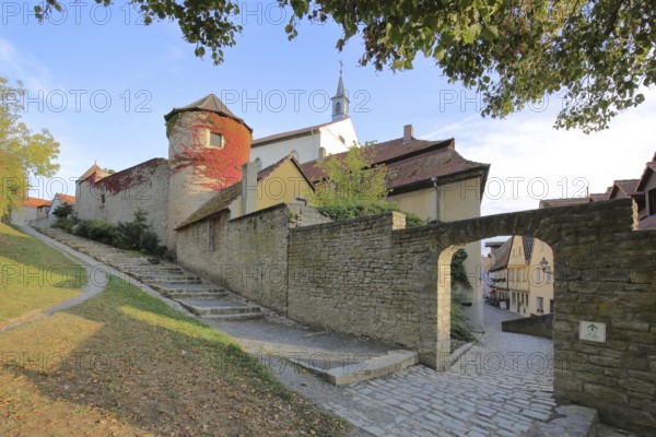 Historic city wall with wall tower, city fortification, archway, autumn colors, stairs, bridge gate, Dettelbach, Lower Franconia, Franconia, Bavaria, Germany