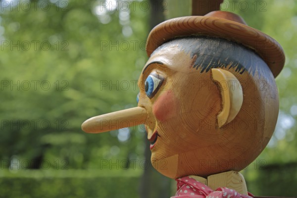 Pinocchio sculpture with long nose and blue eyes as a wooden figure, symbol of lies, long, wooden head, detail, hat, head, face, blue eyes, castle park, Lichtenwalde, Niederwiesa, Saxony, Germany