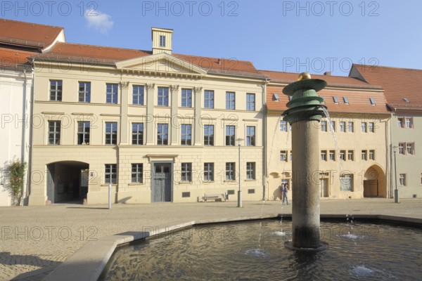 Market square with wells and houses, Sangerhausen, Harz, Saxony-Anhalt, Germany