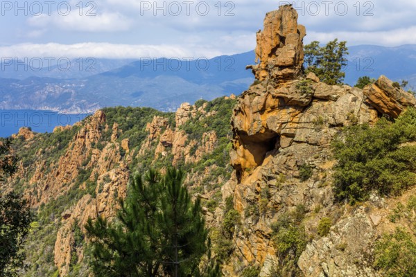 Calanche, bizarre rock formations 400 m above sea level, UNESCO World Heritage Site, Corsica, Piana, Corsica, France