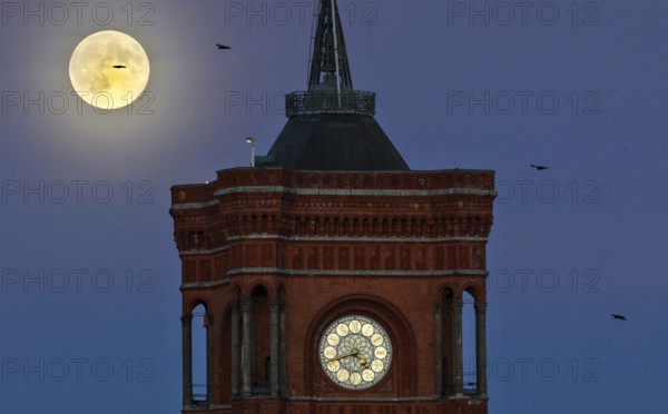 The brightest full moon of the year, Supermoon at the Red Town Hall, Berlin, 05.11.2025, Berlin, Germany