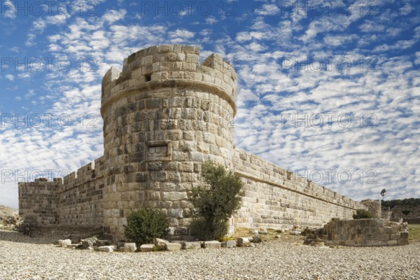 Inner fortification, olive tree, bastion, Neratzia fortress, also Nerantzia, castle, first mentioned in 1395, former fortress of the Order of St. John, today ruin, city of Kos, island of Kos, Dodecanese islands, Greece, eastern Adriatic, Mediterranean