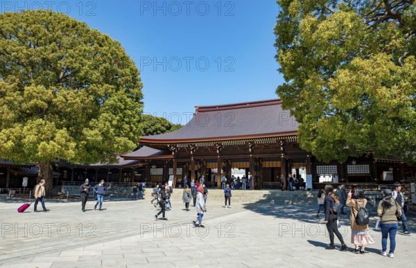 Meiji Jingu, Meiji Shrine, Shinto Shrine, Yoyogi Park, Shibuya, Tokyo