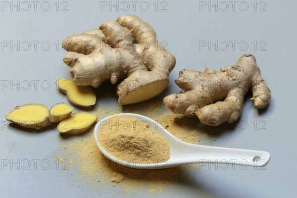 Ginger root and ginger powder in spoon, Zingiber officinale
