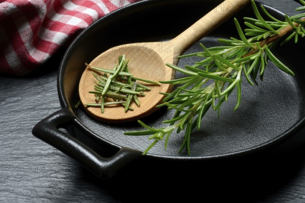 Rosemary, rosemary leaves and rosemary sprig with cooking pot