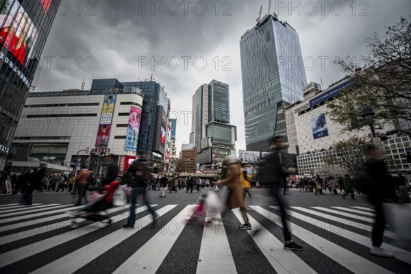 Crowd crossing zebra crossing on a large intersection, motion blur, back modern houses with colorful neon signs, long exposure, Shibuya Crossing, Shibuya, Tokyo, Japan