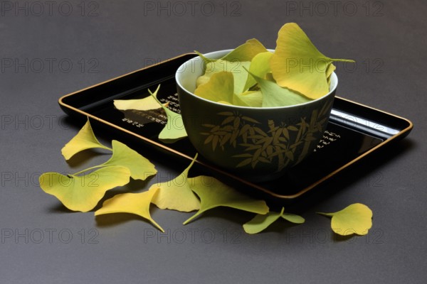 Ginkgo leaves in shell on tray, ginkgo biloba