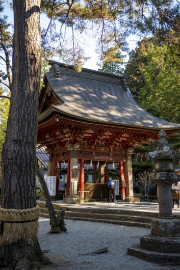 Traditional ablution fountain, Shinto Shrine, Kitaguchi-hongu Fuji Sengen Shrine, Shinto shrine in the forest, Fujiyoshida, Yamanashi Prefecture, Japan