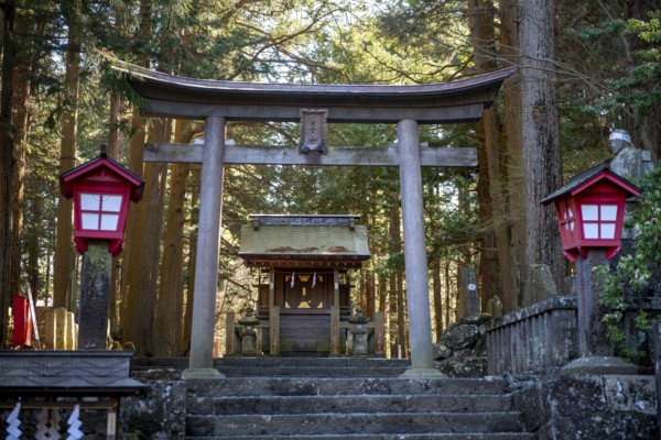 Torii and buildings at Shinto Shrine, Kitaguchi-hongu Fuji Sengen Shrine, Shinto Shrine in the Forest, Fujiyoshida, Yamanashi Prefecture, Japan