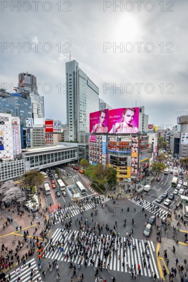 Modern houses with colorful neon signs and large road intersection, Shibuya Crossing from above, crowd at crossroads with crosswalks, Shibuya, Tokyo, Japan