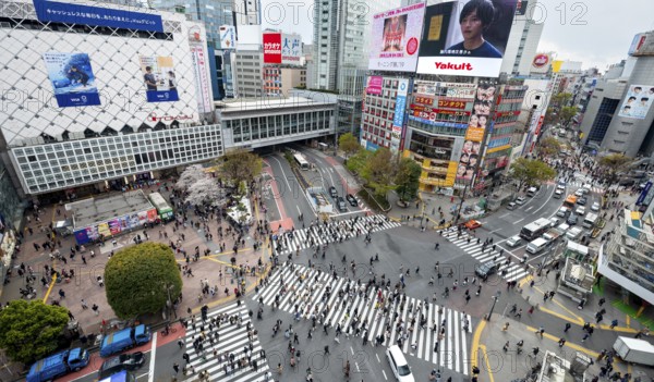 Modern houses with colorful neon signs and large road intersection, Shibuya Crossing from above, crowd at crossroads with crosswalks, Shibuya, Tokyo, Japan
