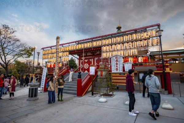 Shinobazunoike Bentendo Temple, at sunset, Shinobazu Pond, lakeside cherry blossoms in spring, Hanami Festival, Ueno Park, Taito City, Tokyo, Japan