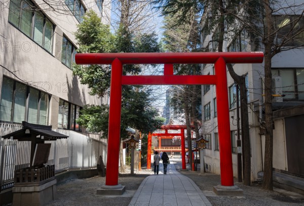 Red torii gates at the entrance of a Shinto shrine, Hanazono Shrine, Shinjuku City, Tokyo