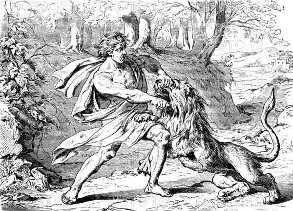 Samson fighting with the lion, vineyards in Thimnath, book of judges, chapter 14, Spirit of the Lord, kill, tear to pieces, forest, Old Testament, Bible, historical illustration 1877
