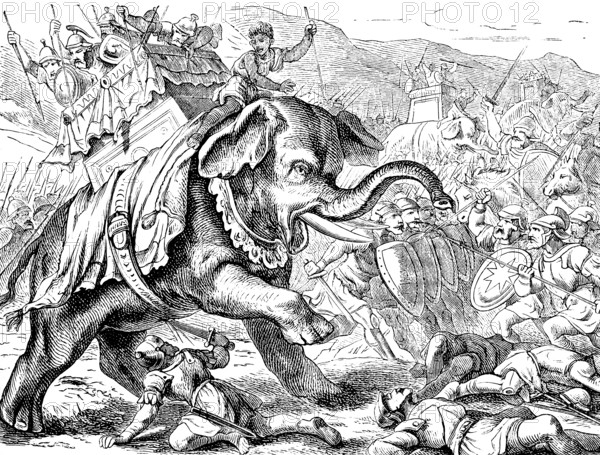 Eleazar, called Avaran, heroic death, first book of the Maccabees, chapter 6, Judas, damage, castle on Zion, people of Israel, battle, war, armor, weapons, war elephants, death, sanctuary, bravery, anger, fighter, soil, Old Testament, Bible, historical illustration 1877