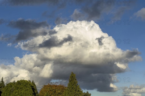 Over deciduous trees in the foreground in the middle of the picture Large Cumulus calvus cloud, in front of it gray Cumulus fractus, international
