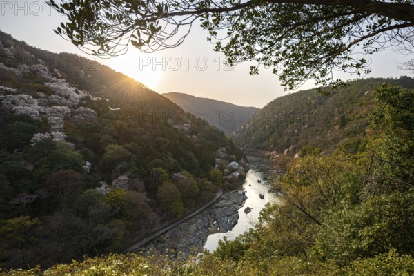Hilly Landscape with River, Blooming Cherry Trees on Katsura River, Sagakamenoocho, Arashiyama, Kyoto, Japan