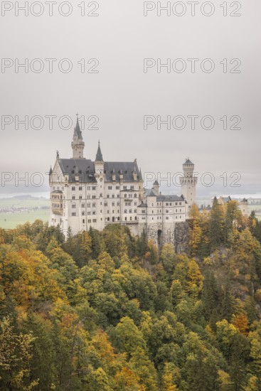 Neuschwanstein in autumn, Schwangau, Füssen, Allgäu, Bavaria, Germany