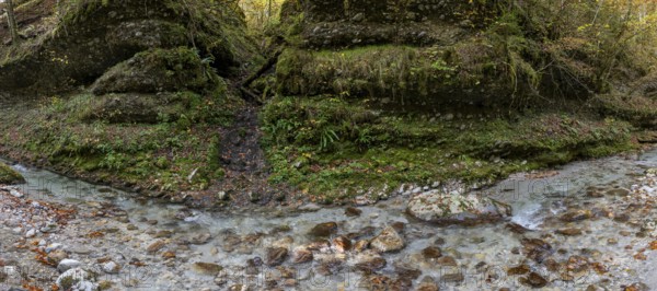 Stream in autumn, Gams, Styria, Austria