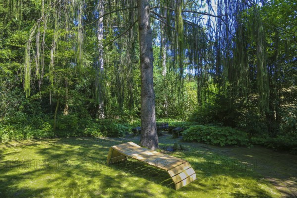 Lounger, idyllic resting place, wooden garden lounger, meadow, trees, green plants, gardens, Baden-Württemberg, Germany