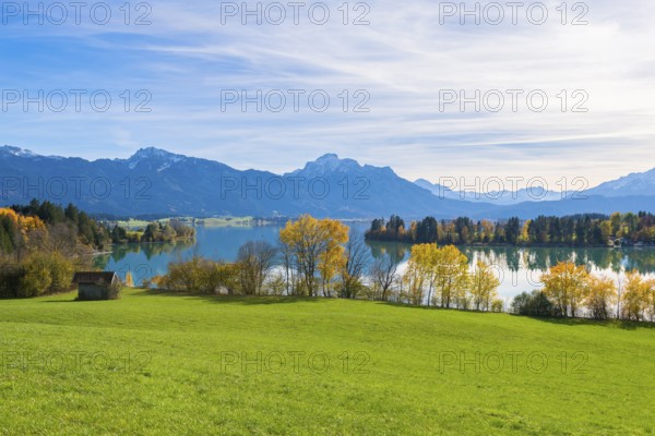 Forggensee and mountains in an autumnal setting, green meadow in the foreground, near Roßhaupten, Ostallgäu, Allgäu, Bavaria, Germany