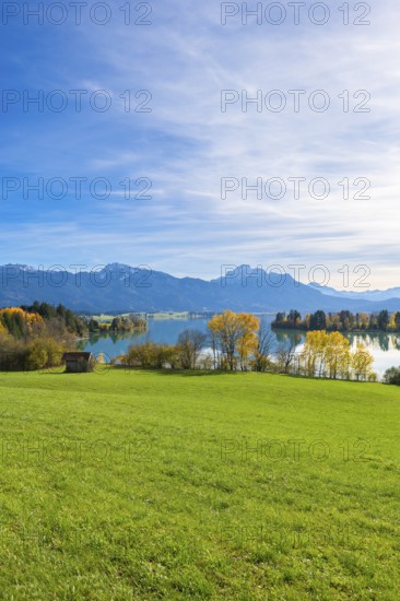Wide landscape with green meadow, Forggensee, surrounded by mountains and autumn trees, near Roßhaupten, Ostallgäu, Allgäu, Bavaria, Germany