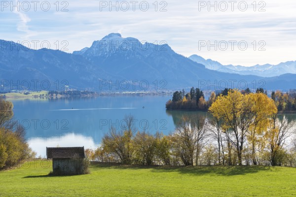Idyllic Forggensee with mountain landscape, autumn colors, small house, near Roßhaupten, Ostallgäu, Allgäu, Bavaria, Germany