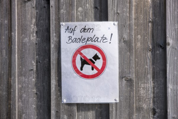 A sign on a wooden wall prohibits dogs from staying at the bathing area, near Roßhaupten, Ostallgäu, Allgäu, Bavaria, Germany