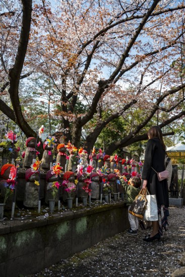 Mother and child in front of Jizo statues with red crocheted caps, guardian deities for deceased children, Unborn Children Garden, Zojoji Temple, Buddhist temple complex, cherry blossom, Tokyo, Japan
