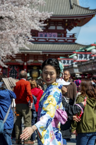 Young Japanese woman wearing kimono surrounded by numerous visitors on Nakamise-dori shopping street, Cherry Blossom, Asakusa Shrine or Senso-ji Temple, Buddhist temple complex, Asakusa, Tokyo, Japan