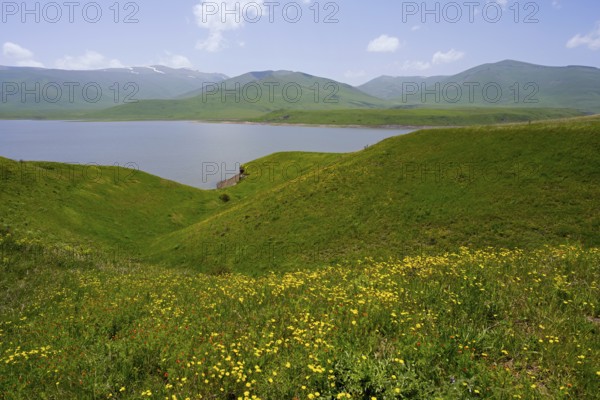 Green hills surround a calm lake under blue sky, spring-like atmosphere, Spandaryan Reservoir, Spandarian, fed by the Vorotan River, Vorotan, Syunik Province, Armenia