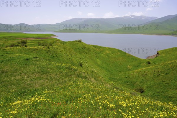 View of a lake surrounded by green hills and blooming meadows, relaxed ambiance, Spandaryan Reservoir, Spandarian, fed by the Vorotan River, Vorotan, Syunik Province, Armenia