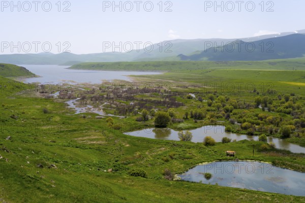 Wide landscape with wetlands and plants, surrounded by green hills and mountains, in the background the Spandaryan Reservoir, Spandarian, fed by the Vorotan River, Vorotan, Syunik Province, Armenia