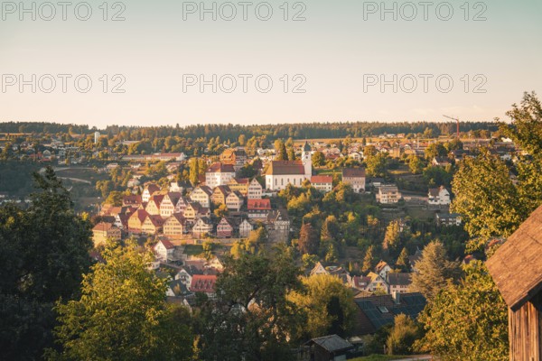 Picturesque village on a hill in warm evening light, surrounded by trees and a church in the center, Altensteig, Calw district, Germany