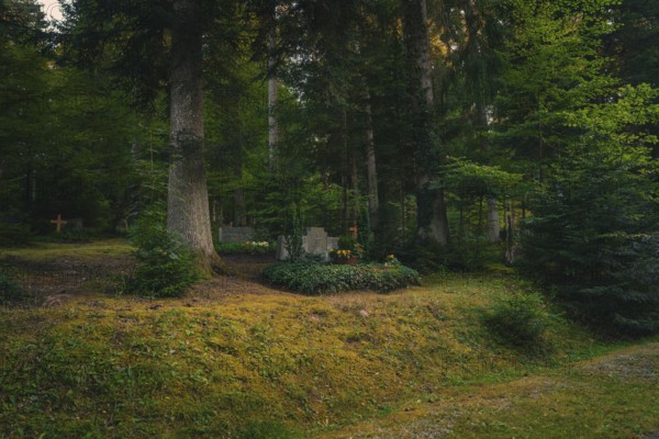 Lonely cemetery in deep forest with a grave surrounded by tall vegetation and trees, Altensteig, Calw district, Germany