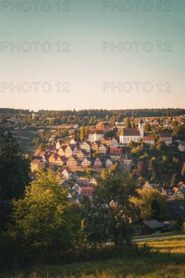 View of a village with church on a hill, warm sunlight shimmering through the trees, Altensteig, Calw district, Germany
