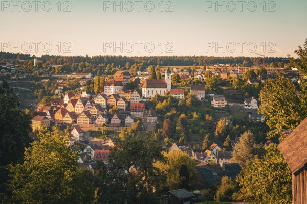 Village on a hill with a dominant church in the middle, warm light and lots of trees, Altensteig, Calw district, Germany