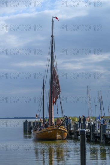 Sea boats in the port of Ahrenshoop, Darß, Mecklenbuirg, Western Pomerania, Germany