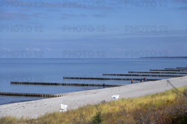 View of the Baltic Sea with groves and beach, Ahrenshoop, Darß, Mecklenburg-Western Pomerania, Germany