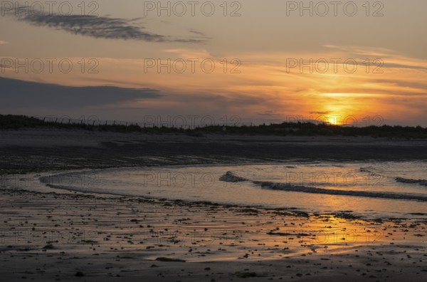 Sunset on a quiet beach with soft light on the waves, wet beach at low tide, dunes in the background, atmospheric, glowing, calm, warm atmosphere, reflecting light on water and beach, reflection, warm and cool tones, orange, yellow, gold, blue, grey, clouds, evening, shade, sandy beach, sand, shore, nobody, maritime, deserted, sea, soft waves, surf, swell, sea, swell, swell, sea, Bay, North Sea, Aade, Dune Island, Heligoland, Pinneberg District, Schleswig-Holstein, Germany