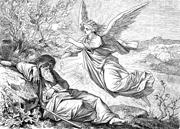 Elijah is wonderfully fed and strengthened, Get up and eat, First Book of Kings, chapter 19, sleep, juniper, angel, bread, water, long way, eat, drink, landscape, Mount Horeb, Old Testament, Bible, historical illustration 1877